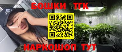 гидропоника Сланцы