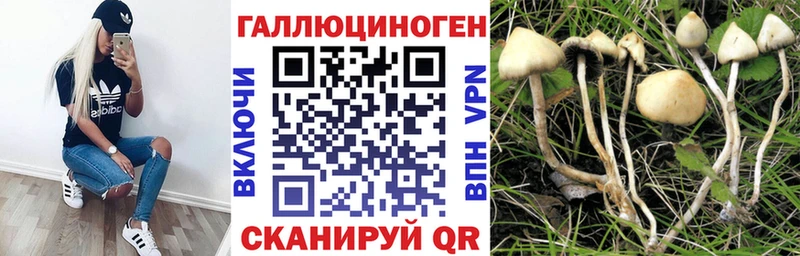 Галлюциногенные грибы прущие грибы Самара