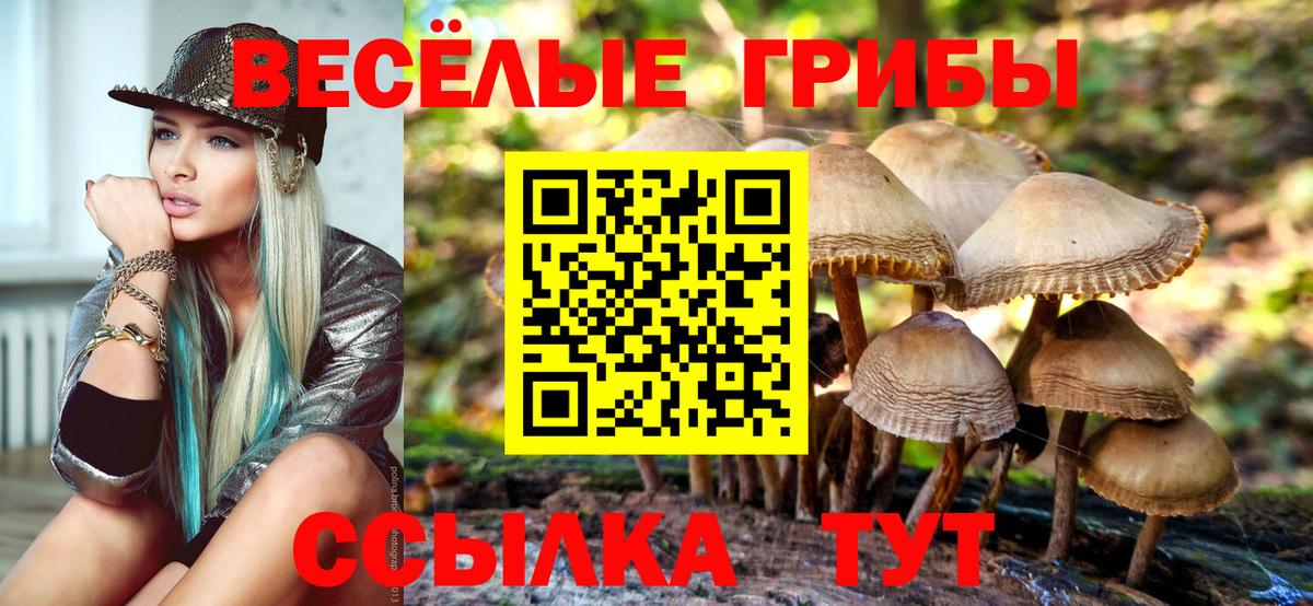 Псилоцибиновые грибы прущие грибы  Вход с VPN  Самара 